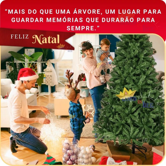 Imagem 4